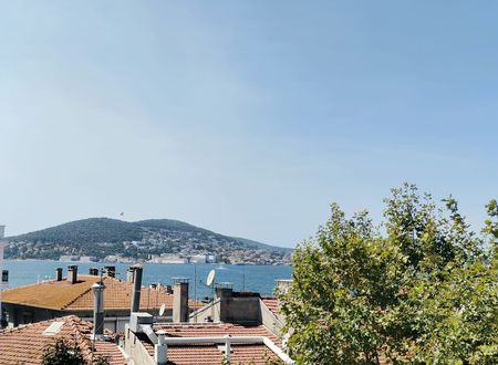 turkey/istanbul/adalar/buyukadamavipalashotelfaaede4f.jpg