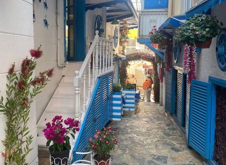 turkey/istanbul/adalar/buyukadamavipalashotelffe0cd63.jpg