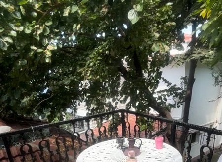 turkey/istanbul/adalar/dreammansionb1704d3b.jpg
