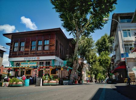 turkey/istanbul/adalar/hotelprinkiposdd574aab.jpg