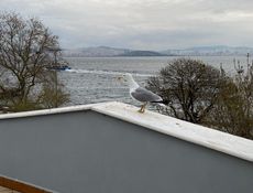 Делюкс -тераса