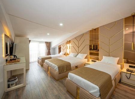 turkey/istanbul/arnavutkoy/luxuryairporthotel3309cfbc.jpg