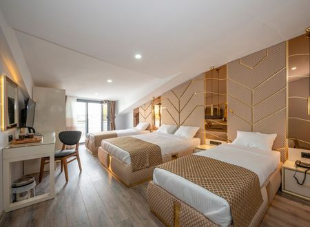 turkey/istanbul/arnavutkoy/luxuryairporthotel9e74fbf9.jpg