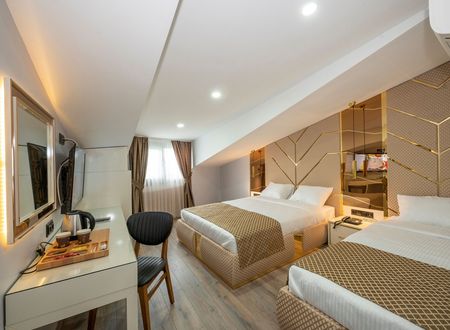 turkey/istanbul/arnavutkoy/luxuryairporthotelc530d1de.jpg