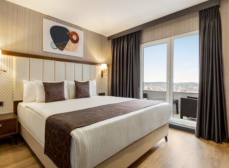 turkey/istanbul/arnavutkoy/operlaairporthotelstrademarkcollectionbywyndhamd571f254.jpg