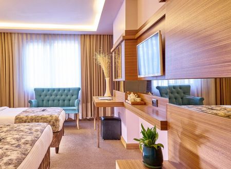 turkey/istanbul/atrohotel522e2e8f.jpg