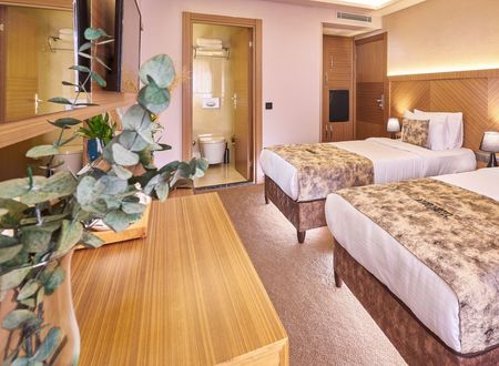 turkey/istanbul/atrohotel68c45f4a.jpg