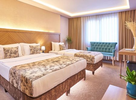 turkey/istanbul/atrohotel78f0a8a5.jpg