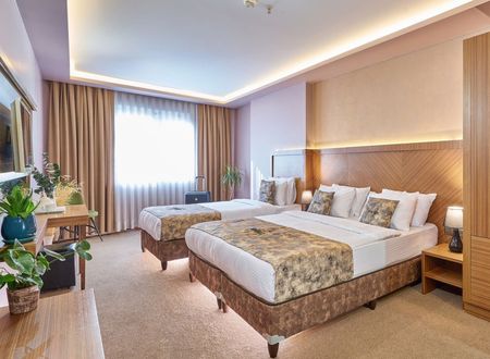 turkey/istanbul/atrohotel8e42f455.jpg