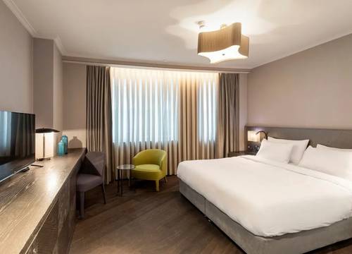 turkey/istanbul/bakirkoy/radissonbluhotelistanbulottomare45d075c4.jpg