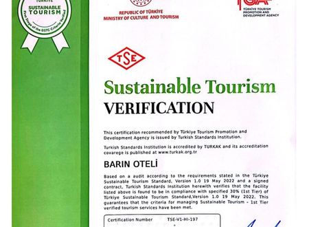 turkey/istanbul/barinhotel019b07d9.jpg
