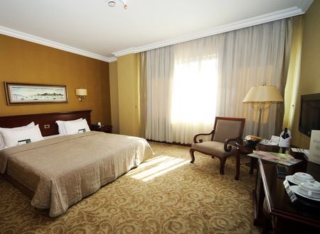 turkey/istanbul/besiktas/bilekistanbulhotel601923c1.jpg