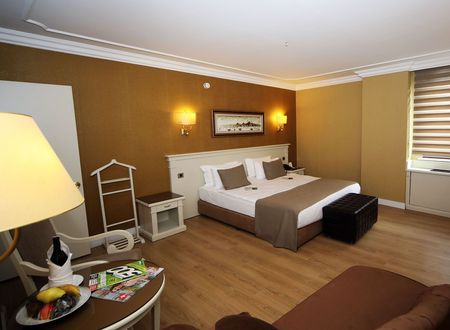 turkey/istanbul/besiktas/bilekistanbulhotel6a875bb1.jpg