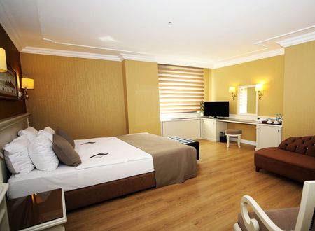 turkey/istanbul/besiktas/bilekistanbulhotel6dfbde88.jpg