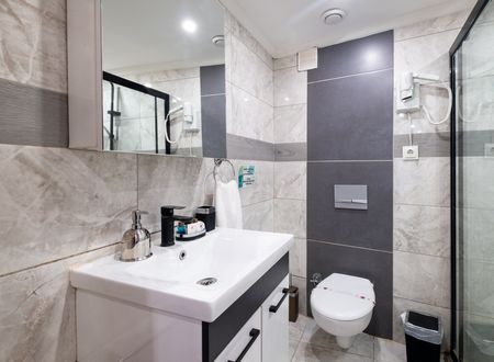 turkey/istanbul/besiktas/istanbuliteshotel1fb4feac.jpg
