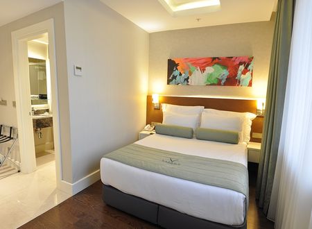 turkey/istanbul/besiktas/veyronhotelsspa15348613.jpg