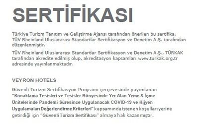 Veyron Hotels · 3
