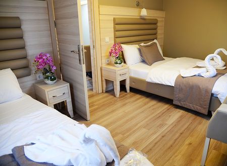 turkey/istanbul/beyoglu/alkhaleejhotelb7232841.jpg