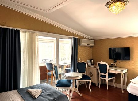 turkey/istanbul/beyoglu/alyonhoteltaksima548e05c.jpg
