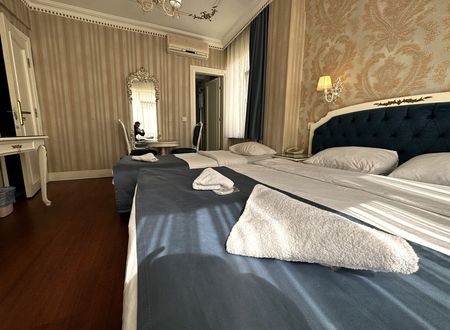 turkey/istanbul/beyoglu/alyonhoteltaksimb8865363.jpg