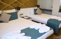 Chambre Standard - Triple