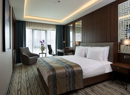 turkey/istanbul/beyoglu/clarionhotelgoldenhorne628a128.jpg