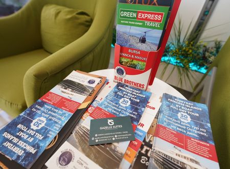 turkey/istanbul/beyoglu/gazellesuites755e616d.jpg