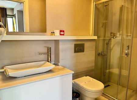 turkey/istanbul/beyoglu/leadermansionhotelsuitee778f345.jpg