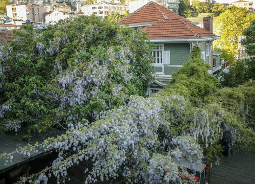 turkey/istanbul/beyoglu/loophotelistanbula9b4fff2.jpg