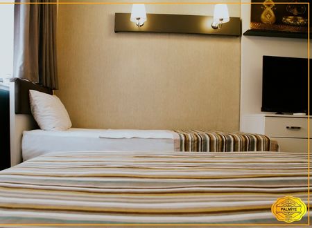 turkey/istanbul/beyoglu/palmiyehoteltaksim5511cc39.jpg