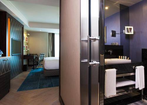 turkey/istanbul/beyoglu/radissonbluhotelistanbulperad08f933b.jpg