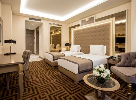 turkey/istanbul/beyoglu/ramadabywyndhamistanbulgoldenhorn248950fd.jpg