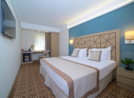 turkey/istanbul/beyoglu/ramadabywyndhamistanbultaksim795aad4e.jpg