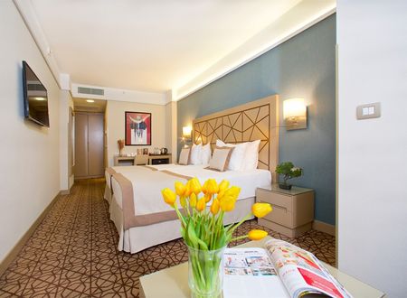 turkey/istanbul/beyoglu/ramadabywyndhamistanbultaksim7a2d1391.jpg