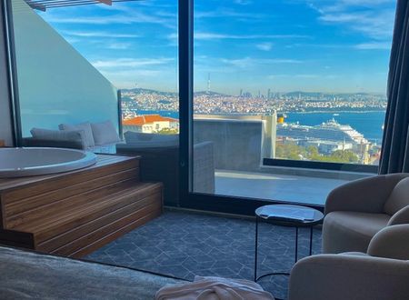 turkey/istanbul/beyoglu/ringstonehotelsbosphorus5e295812.jpg