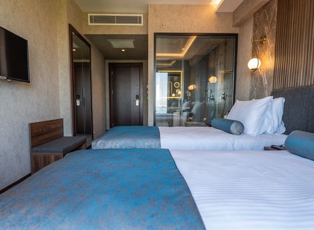 turkey/istanbul/beyoglu/ringstonehotelsbosphorusae14dc46.jpg