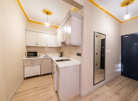 turkey/istanbul/beyoglu/taksimno44hotelsuites4d93ef9c.jpg