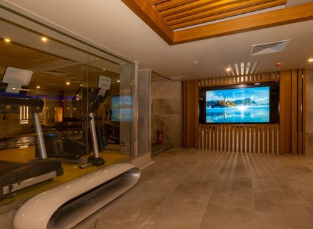 turkey/istanbul/beyoglu/thepeakhoteltaksim36c1d4ae.jpg