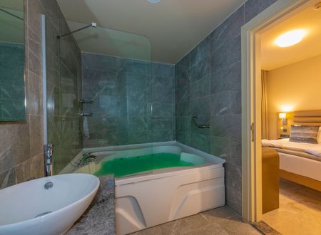 turkey/istanbul/beyoglu/thepeakhoteltaksim506868f1.jpg