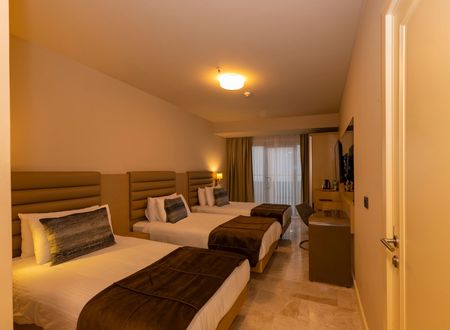turkey/istanbul/beyoglu/thepeakhoteltaksim792ed007.jpg