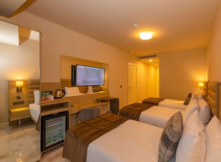 turkey/istanbul/beyoglu/thepeakhoteltaksim7c1b3b55.jpg