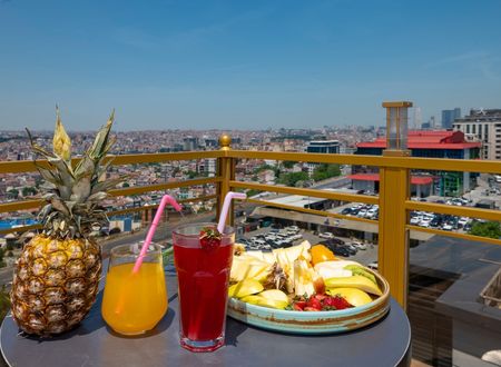 turkey/istanbul/beyoglu/thepeakhoteltaksim8b843389.jpg