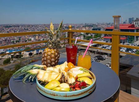 turkey/istanbul/beyoglu/thepeakhoteltaksima88785a8.jpg