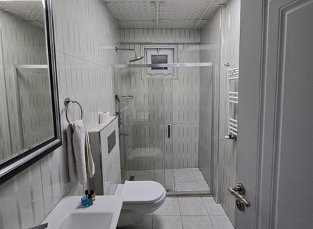turkey/istanbul/blueplushotel6821460d.jpg