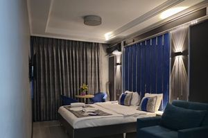turkey/istanbul/blueplushotel9ebd7092.jpg