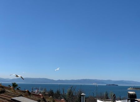 turkey/istanbul/blueseahoteltuzla3c89f3e3.jpg