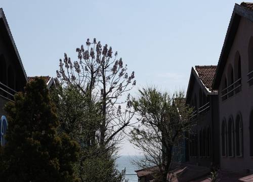 turkey/istanbul/buyukcekmece/turizoombeachresortkumburgaz50046d21.jpg