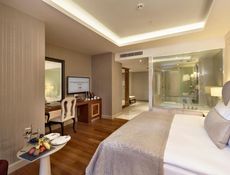 Lüks Süit - Şehir Manzaralı ve Lounge Erişimli