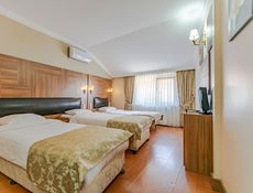 Standard Room - Triple