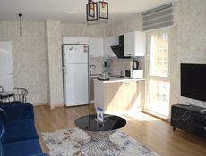 One Bedroom Apartment 88 m2 MS5